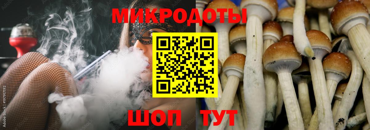Псилоцибиновые грибы MAGIC MUSHROOMS Озёры