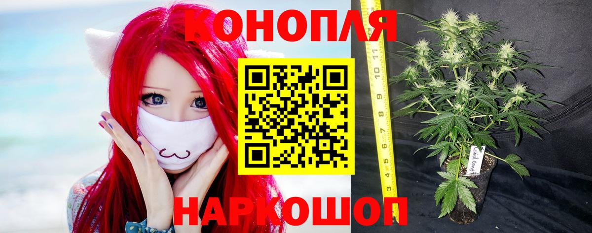 Бошки марихуана MAZAR  Вход с VPN  Озёры  Марихуана тримм  Марихуана THC 21% 